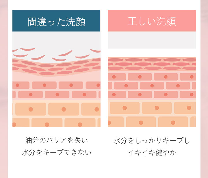 間違った洗顔 油分のバリアを失い 水分をキープできない 正しい洗顔 水分をしっかりキープしイキイキ健やか